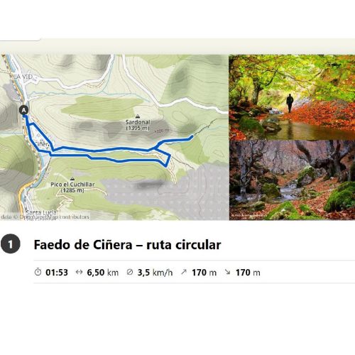 FAEDO DE CIÑERA -R .1